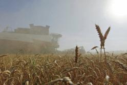 Процветание или бедность: к чему приведет аграрный вектор развития экономики Украины
