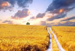 ​Сценарии для Украины. План Б