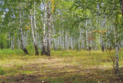 Русский дух. Разгадка агрессии...