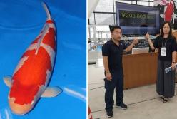 Самая дорогая живая рыба в мире куплена за колоссальные 1,8 миллиона долларов