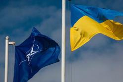 Референдум - для порятунку Порошенка, а не для вступу до НАТО
