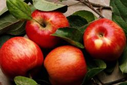 Самый популярный фрукт оказался самым полезным для здоровья