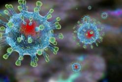 ​Россия продолжает скрывать реальную статистику коронавируса