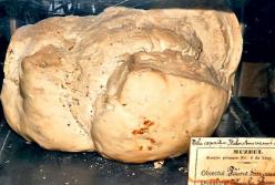 Хлеб, испеченный в 1891 году, до сих пор не испортился благодаря качественной муке и дрожжам