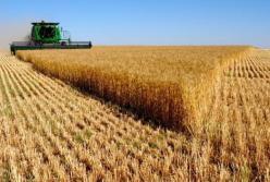 Дорога в пекло. АПК: від локомотиву економіки до кривого ровера корупції