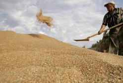 Украину превращают в сырьевой придаток