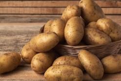 Здорова їжа та має багато поживних речовин: чому не варто відмовлятися від картоплі