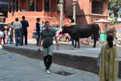 Как меня кумарило в Катманду