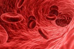 Золотая кровь: Самая редкая и ценная группа крови в мире