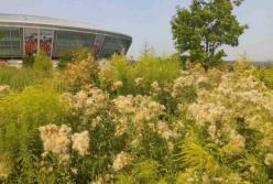 «Умирающий» Донецк (фото)