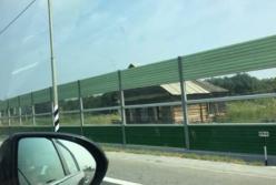 Умирание, распил и показуха