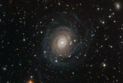 Великолепный снимок галактики NGC 6902 – первый свет SPECULOOS 
