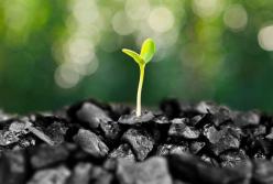 Роттердам+ возвращается, и это хорошо