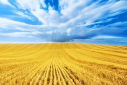 Біда держави, що в політиці мода на крамарів і клоунів