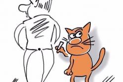 ​Доллар на грани краха