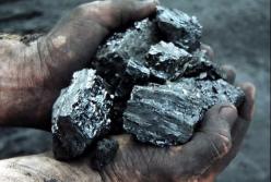 Антрацит головного мозга