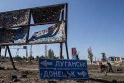 Бриллиантовая нога. Бызнес-идеи из оккупации