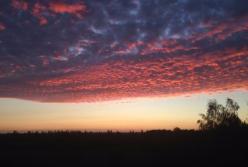 Чудо Украины