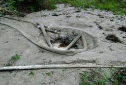 Беларуский гуманизм 