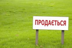 Все продано до нас или земля до востребования