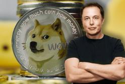 Лучшие криптовалютные биржи января 2022: советы начинающим трейдерам