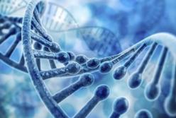 Тотальное невежество: ученые объяснили, почему генетическое оружие невозможно