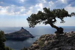 «Простой и незатейливый грабеж». Как Аксенов «национализирует» все, что плохо лежит