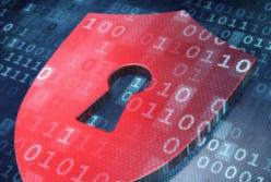 Радоваться ограничению собственных прав может только раб 