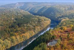 Ужасы Донецкой области: местные чиновники покрывают новую мафию (расследование)