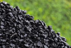 Янукович продолжает зарабатывать на украинцах с особым цинизмом