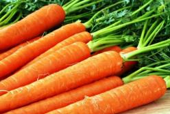 Стоит включить в рацион: вся правда о моркови