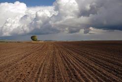 Земельный вопрос в Украине грозит стать вечным