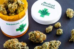 Легализация медицинской марихуаны спровоцирует новый беби бум