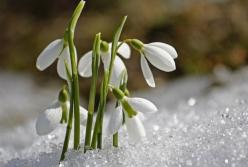 С надеждами на тепло: синоптики рассказали, какой будет весна