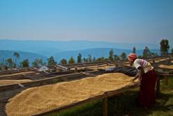 От геноцида к процветанию. Как Руанда стала Сингапуром в Африке