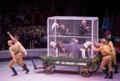 В цирк праздник Победы еще не превращали