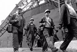 Некисельные берега. Будни оккупации