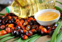 Пальмовое масло: распространенные мифы и правдивые факты