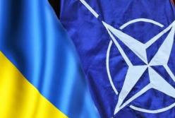 Нужен ли Украине референдум по вступлению в НАТО