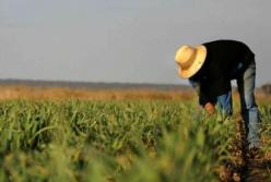 Про бідного фермера слово замовим!