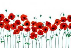 День победы: история праздника и важные факты