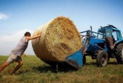 Уничтожение украинского фермерства грозит потерей Украины