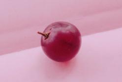 5 способов снизить риск рака молочной железы, в которые верит наука