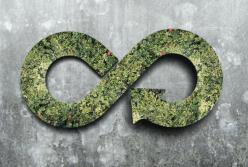 Ответственное государственное потребление электроэнергии: Как циркулярные закупки могут спасти мир