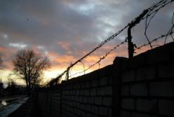 Тюрьма или воля