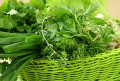 Як отримати від ранньої зелені максимум користі