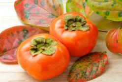 Сезонные антиоксиданты: какие фрукты стоит включить в рацион 