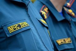 Реалии «ДНР»: двери и олени. Слабонервным не читать