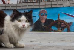 Курортный сезон в Крыму: Ялта 