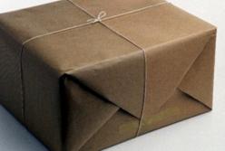 Последний почтальон Москвы